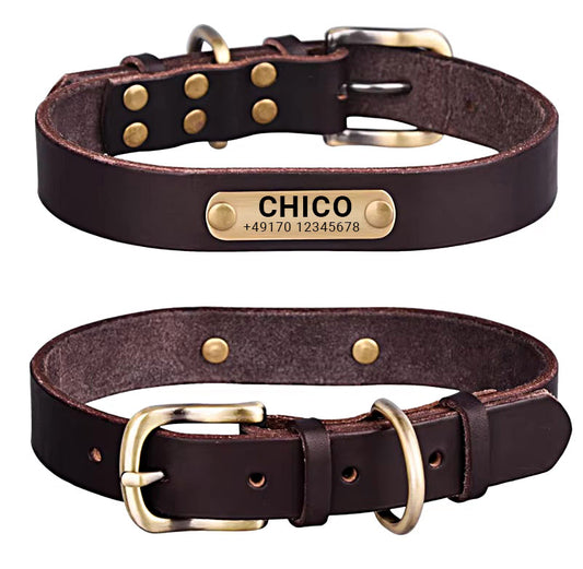 Collier de chien en cuir véritable avec boucle en laiton en quatre couleurs et gravure gratuite du nom et du téléphone