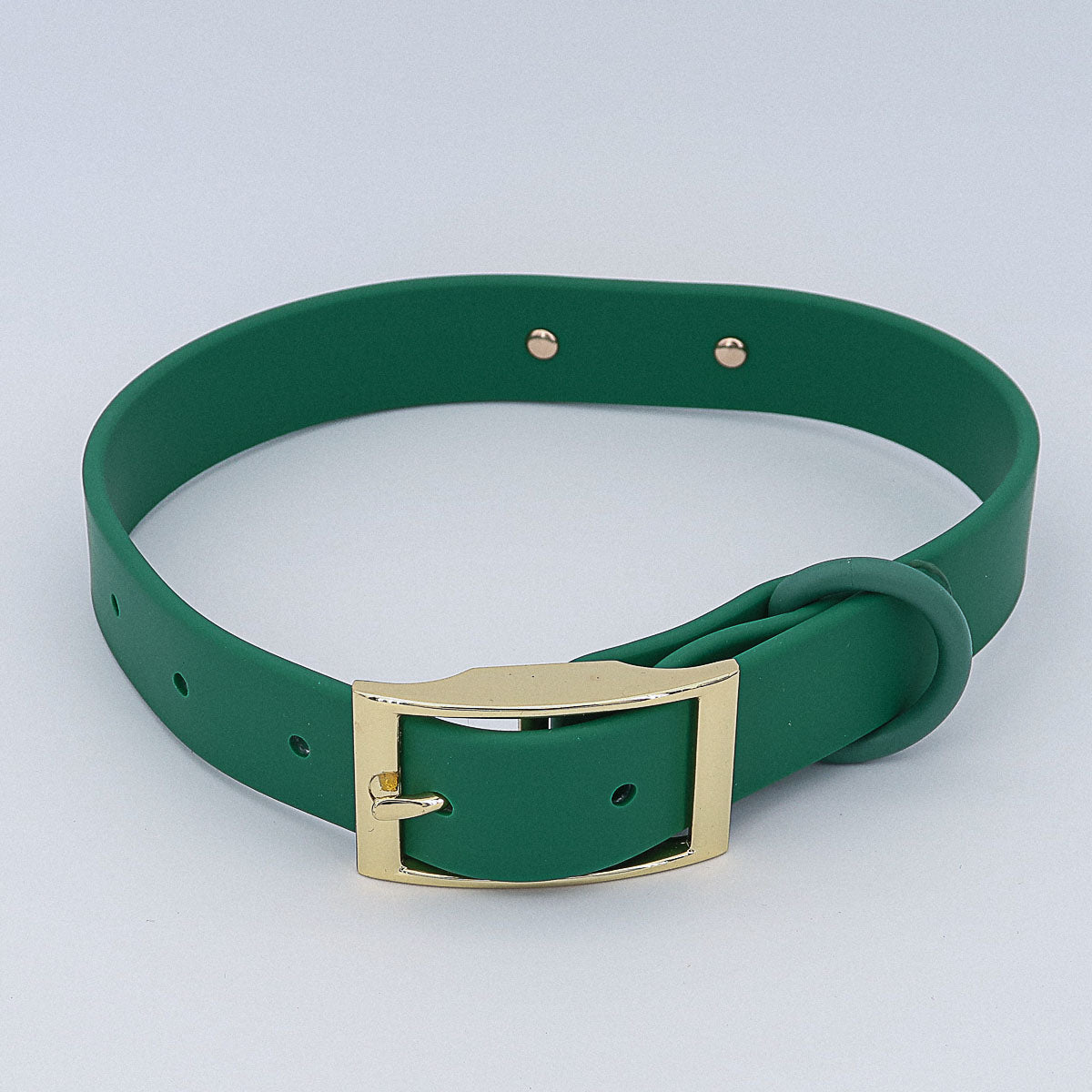 Collier en biothane
