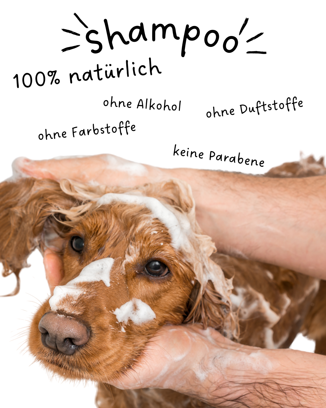 Riolino Shiny Fur Shampoo - Soin doux pour un pelage brillant