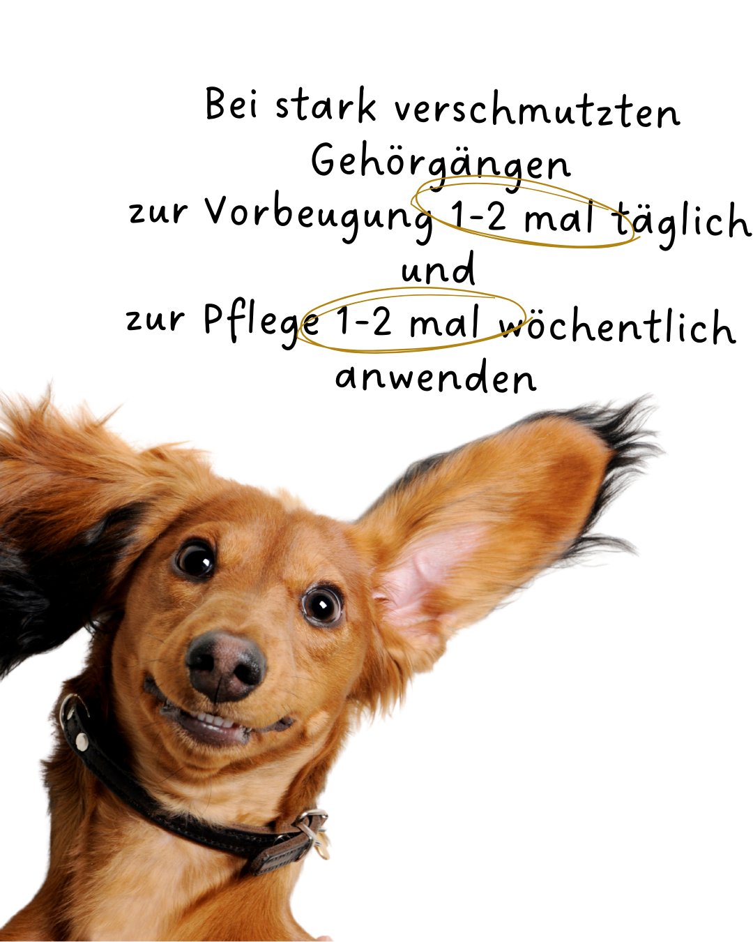 Riolino PureEars- Nettoyage en douceur pour les oreilles sensibles