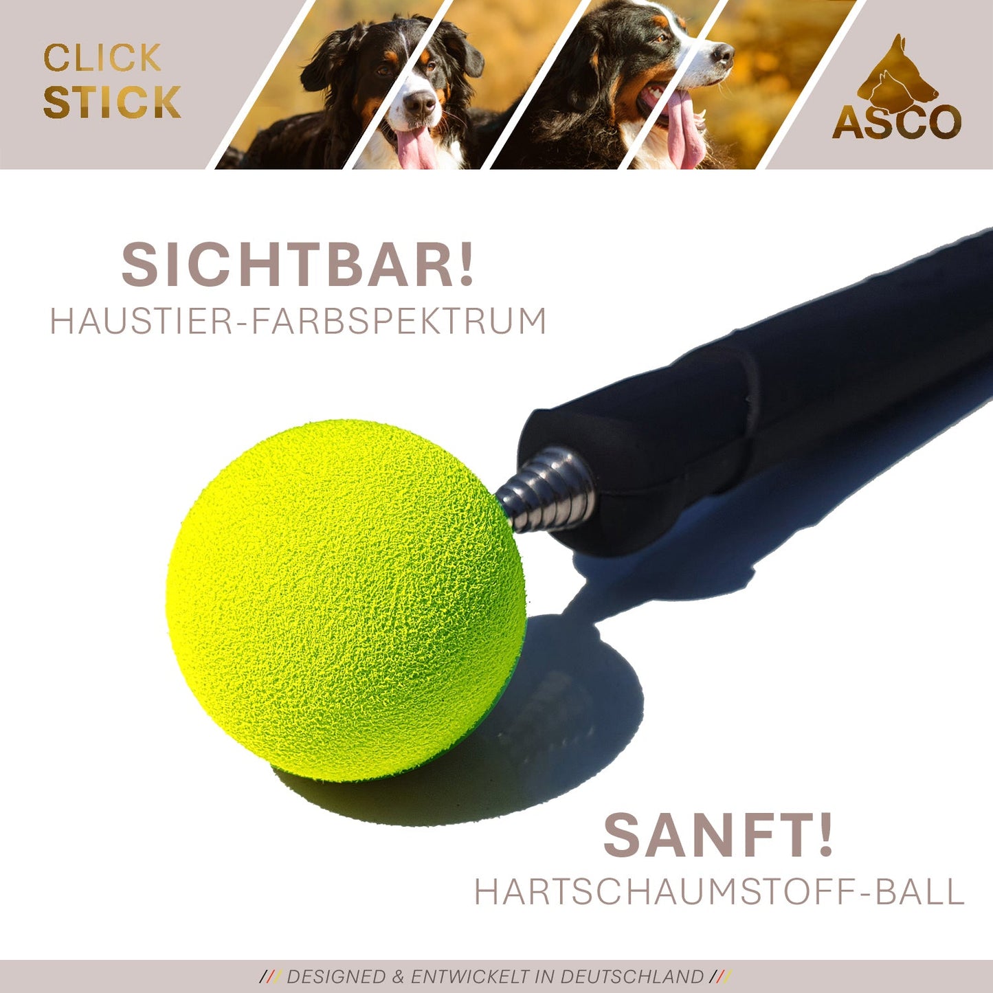 ASCO ClickStick - Target Stick avec Premium Clicker amovible - Tige de Target pour chiens chats Clickertraining - Targetstick extensible avec clicker supplémentaire - Tige de Target pour Target-Training