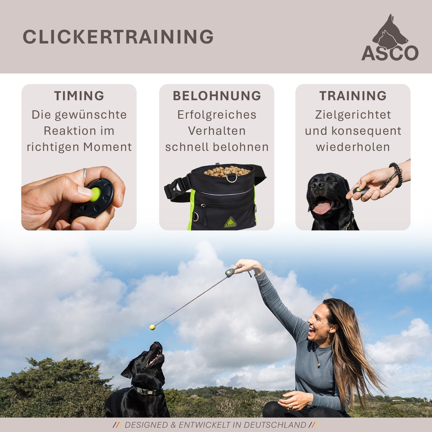 ASCO Finger Clicker - Clickertraining Premium Clicker pour chiens, chats, chevaux
