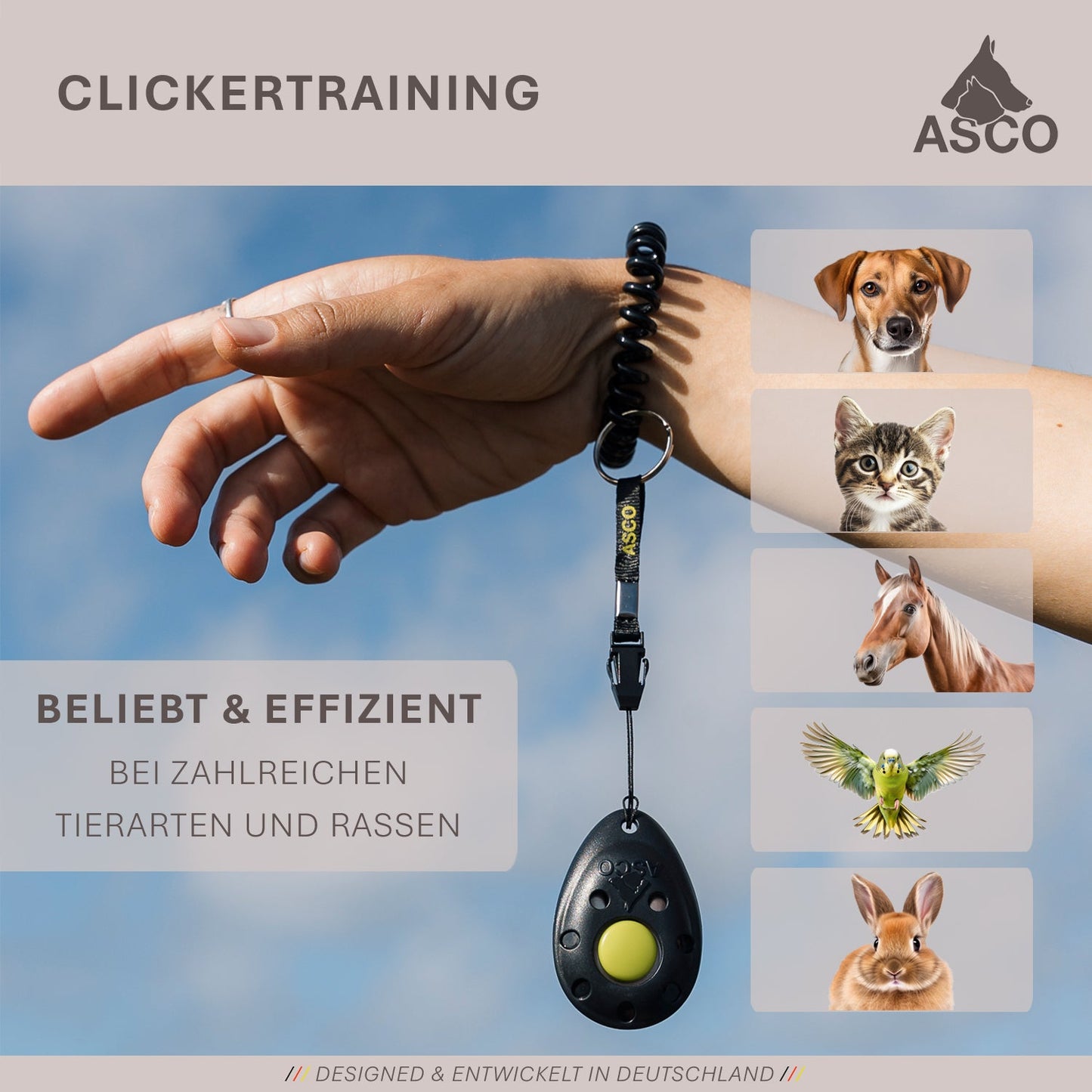 ASCO Finger Clicker - Clickertraining Premium Clicker pour chiens, chats, chevaux