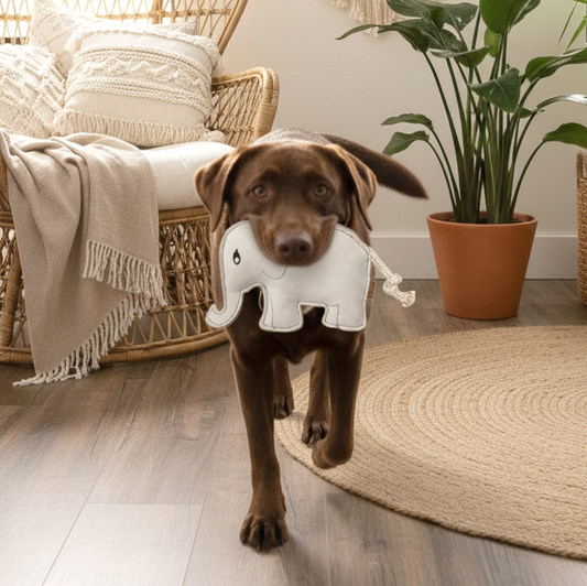 BUDDY. Jouet pour chien en cuir "Éléphant"