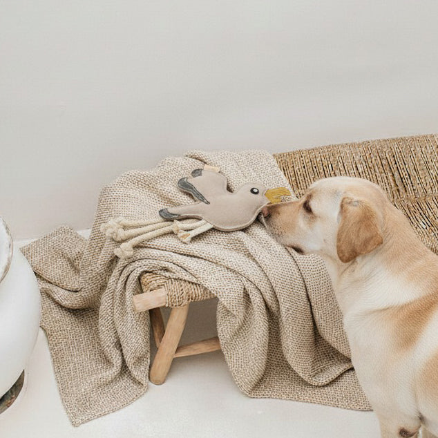 BUDDY. Jouet pour chien en cuir "Mouette"