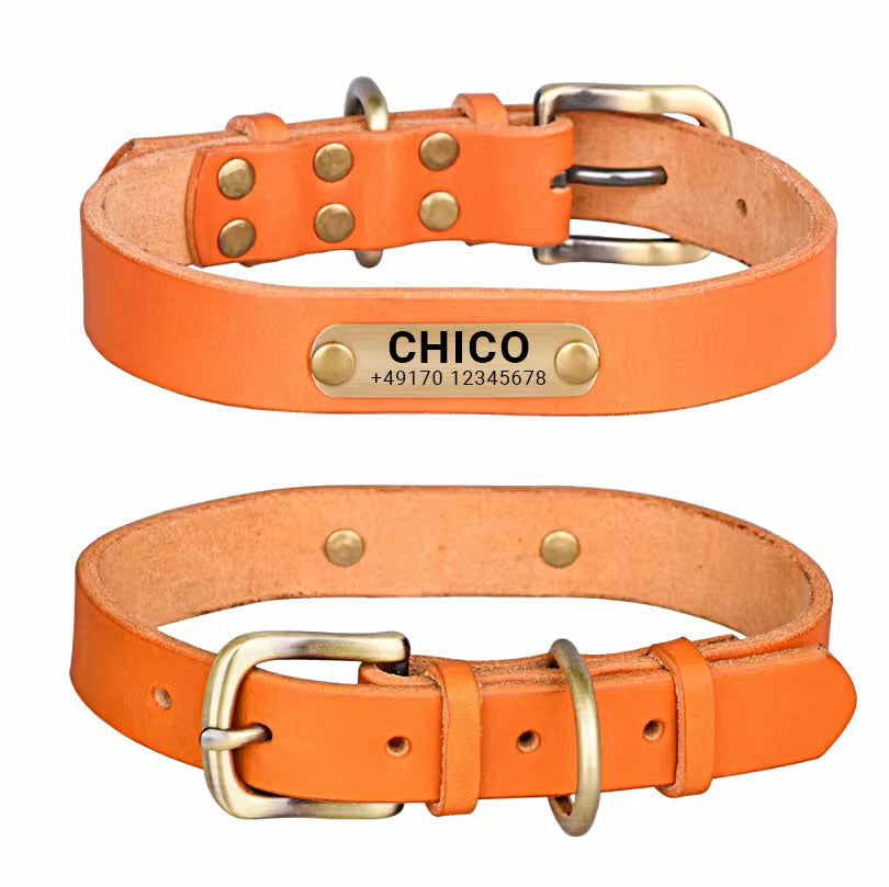 Collier de chien en cuir véritable avec boucle en laiton en quatre couleurs et gravure gratuite du nom et du téléphone