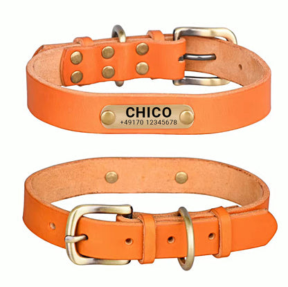 Collier de chien en cuir véritable avec boucle en laiton en quatre couleurs et gravure gratuite du nom et du téléphone