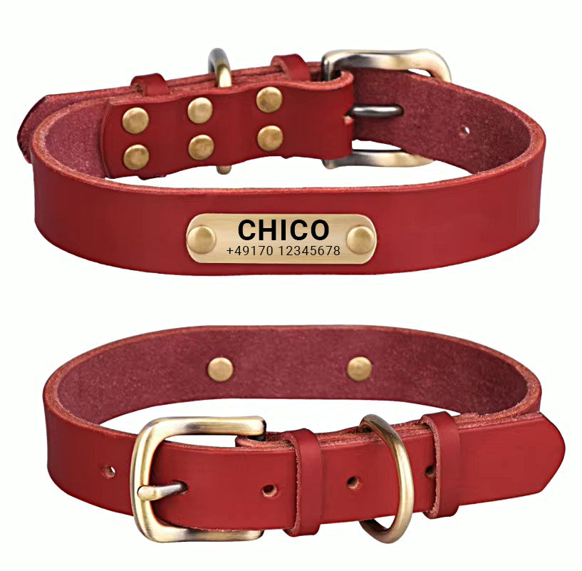 Collier de chien en cuir véritable avec boucle en laiton en quatre couleurs et gravure gratuite du nom et du téléphone