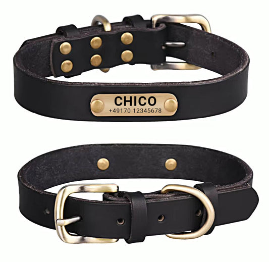 Collier de chien en cuir véritable avec boucle en laiton en quatre couleurs et gravure gratuite du nom et du téléphone