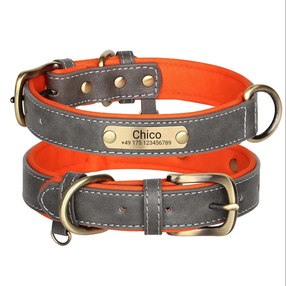 Collier de chien cool avec gravure Gris, Néoprène Mesh orange à l'intérieur, anneau pour les marques de chien