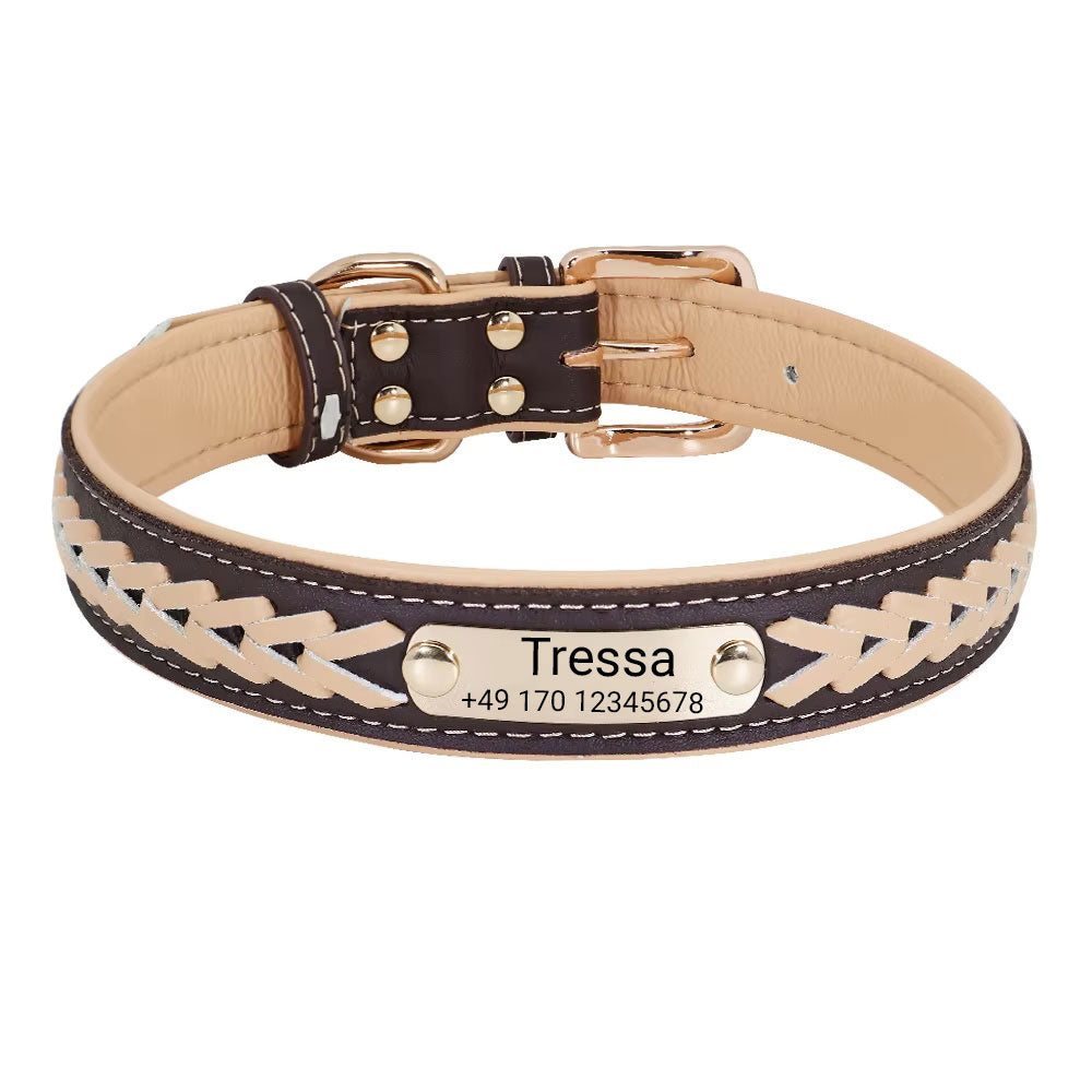 Collier pour chien avec le nom "Tressa". Gravure du nom et du téléphone, en trois tailles différentes 