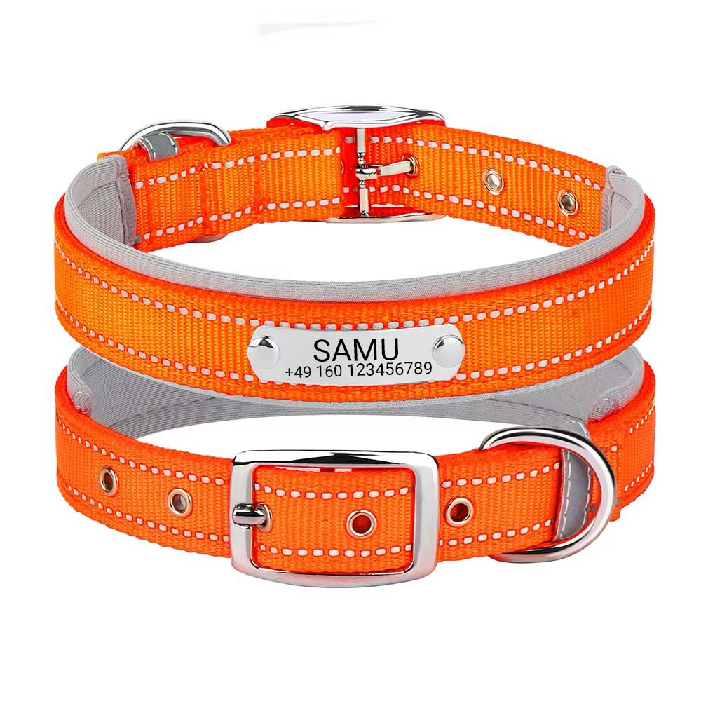 Collier de chien gravé "Samu" avec coutures de sécurité réfléchissantes. Personnalisation avec nom et téléphone