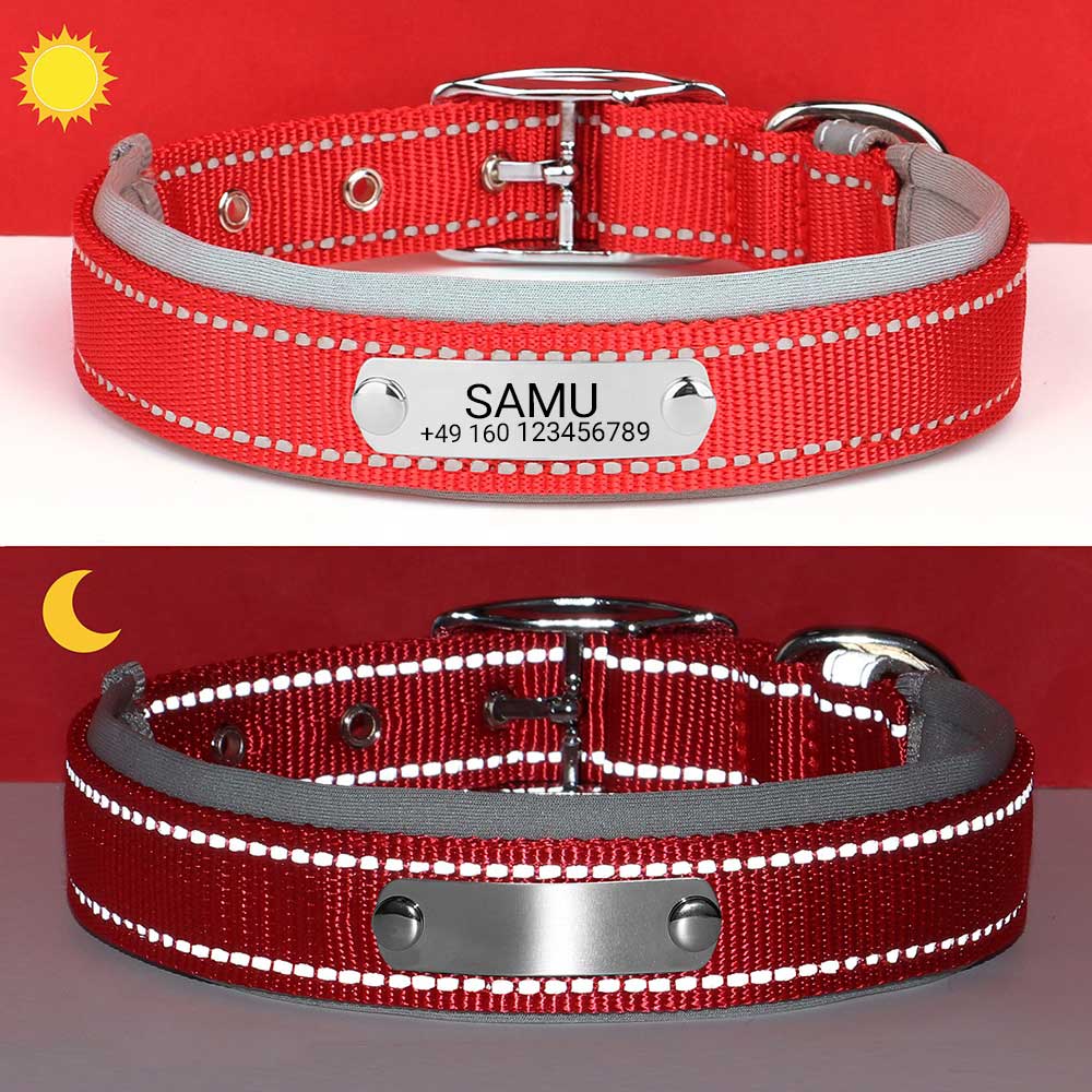 Collier de chien gravé "Samu" avec coutures de sécurité réfléchissantes. Personnalisation avec nom et téléphone