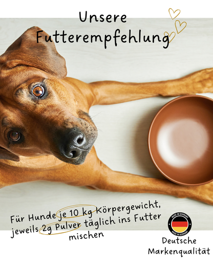 Riolino FreshBite – Natürliche Zahnpflege für Hunde
