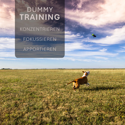 ASCO Dog Dummy - Chien de rapport et de snack (21x7 cm)