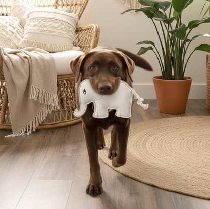 BUDDY. Jouet pour chien en cuir "Éléphant" 