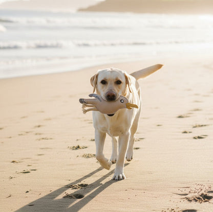 BUDDY. Jouet pour chien en cuir "Mouette" 